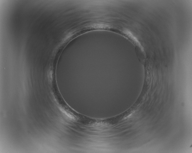 X0000071780063200607071440