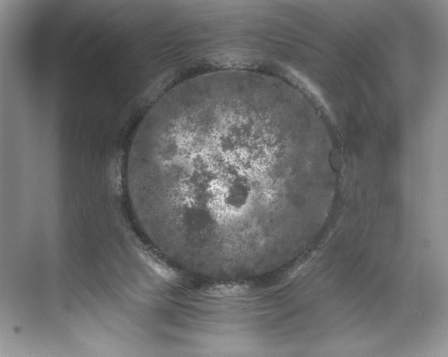 X0000071780065200607071440