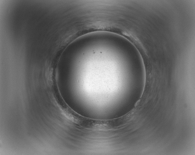 X0000071780066200607071440