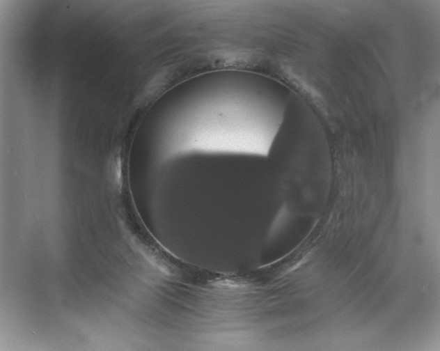 X0000071780067200607071440