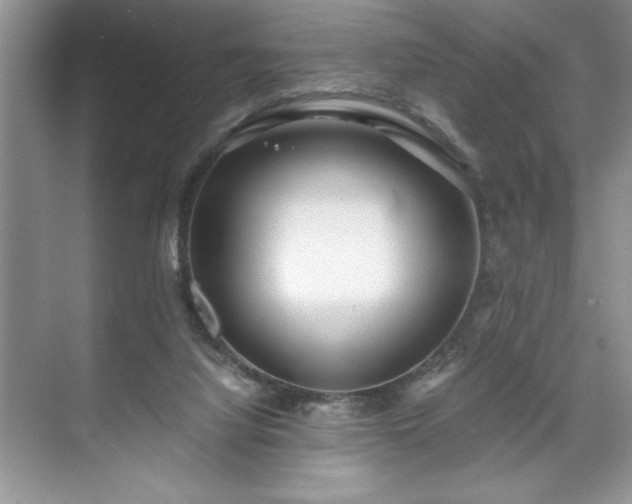 X0000071780068200607071440