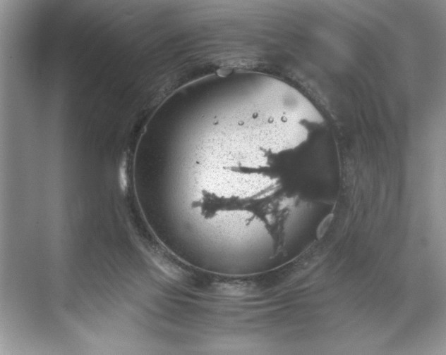 X0000071780069200607071440