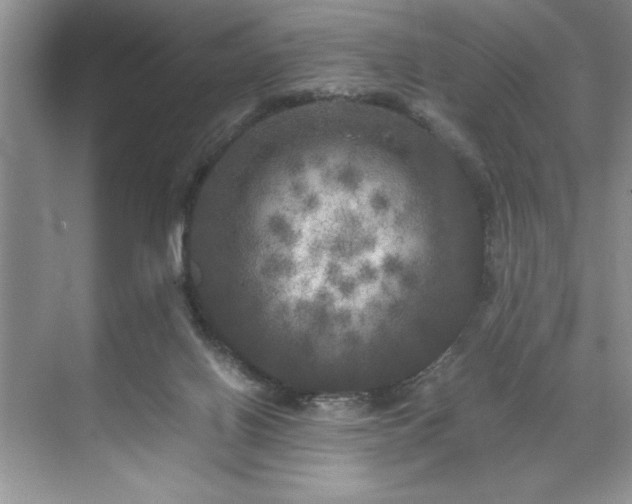 X0000071780070200607071440