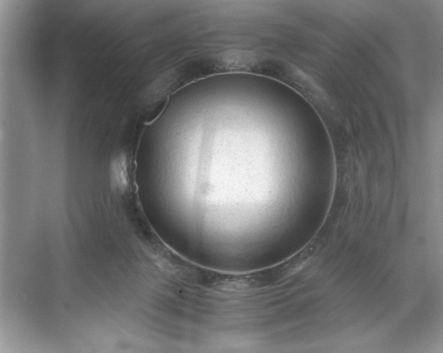 X0000071780075200607071440