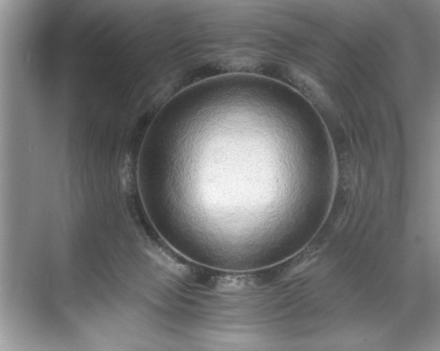 X0000071780077200607071441