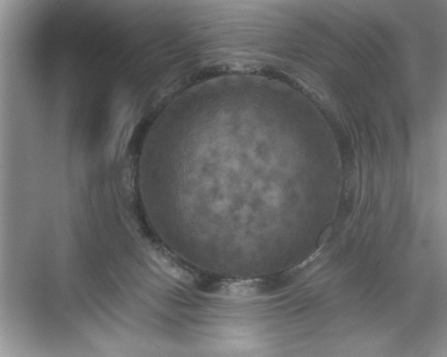 X0000071780078200607071441