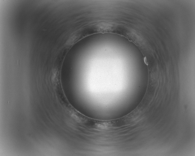 X0000071780079200607071441