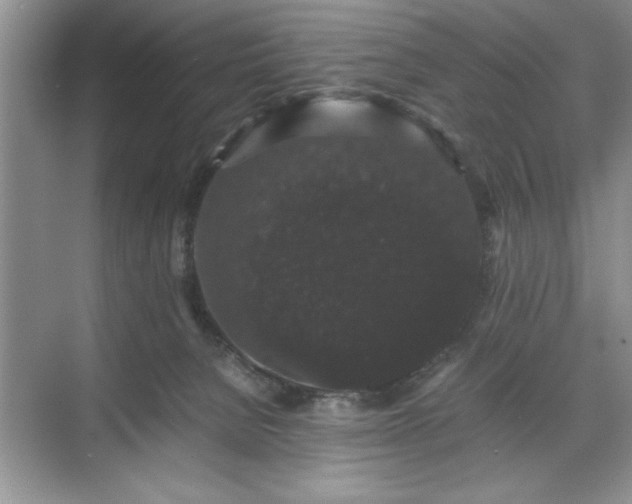 X0000071780080200607071441