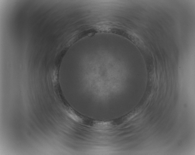 X0000071780081200607071441