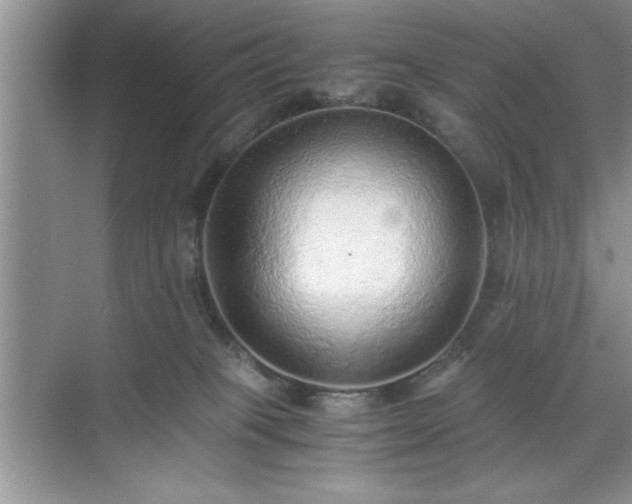 X0000071780085200607071441