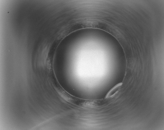 X0000071780086200607071441