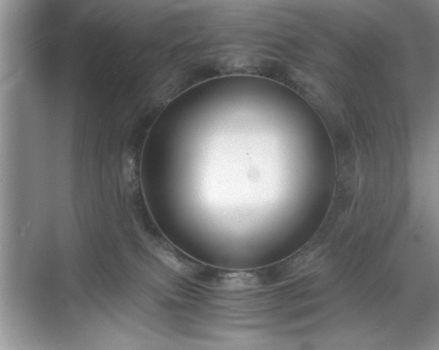 X0000071780087200607071441