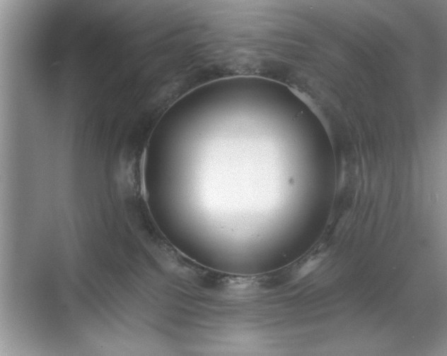 X0000071780088200607071441