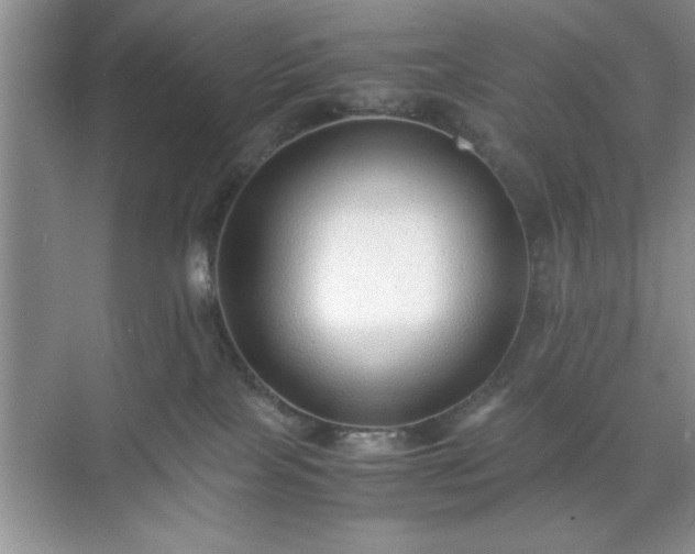 X0000071780089200607071441