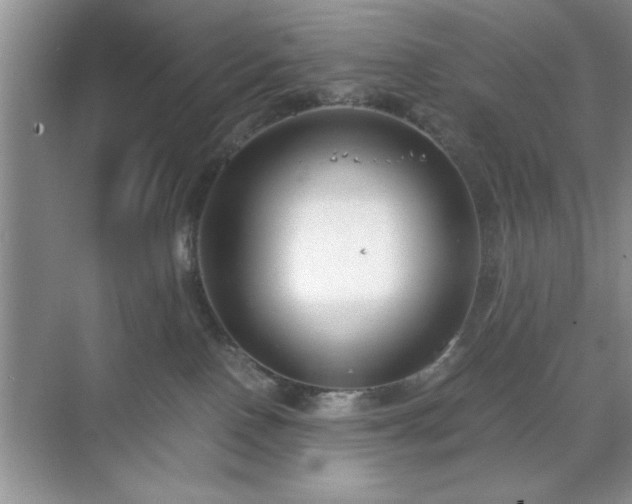 X0000071780090200607071441