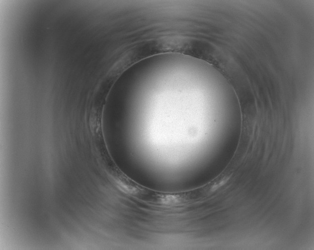 X0000071780091200607071441