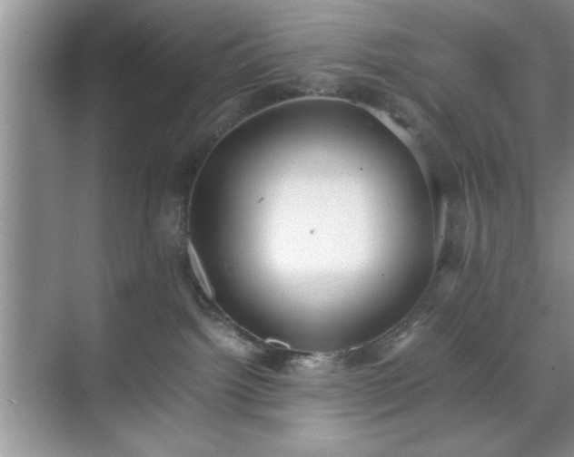 X0000071780092200607071441