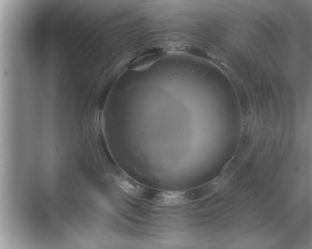 X0000071780093200607071441