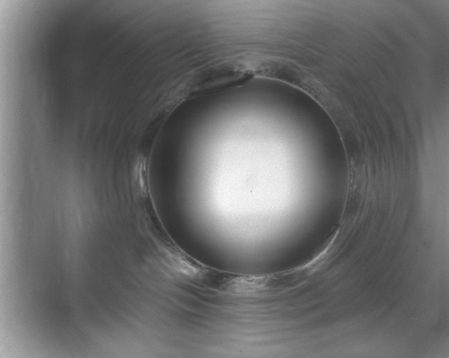 X0000071780094200607071441