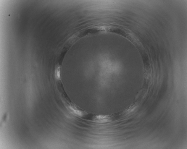 X0000071780095200607071441