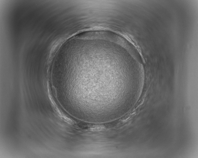 X0000071780097200607071440