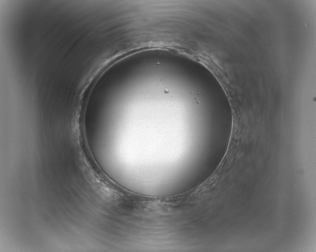 X0000071780098200607071440