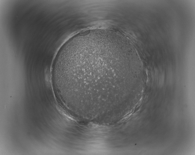 X0000071780100200607071440