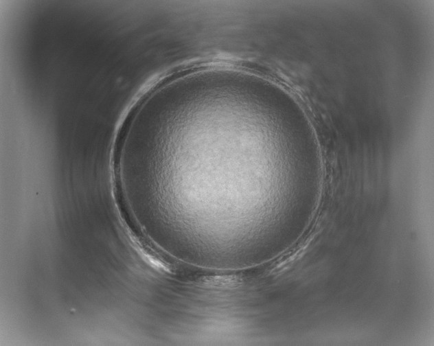 X0000071780102200607071440