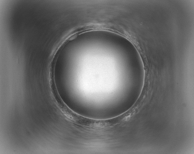 X0000071780103200607071440