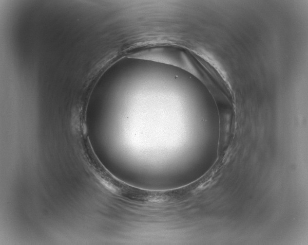 X0000071780105200607071440