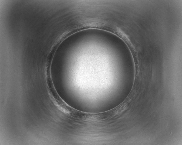 X0000071780106200607071440