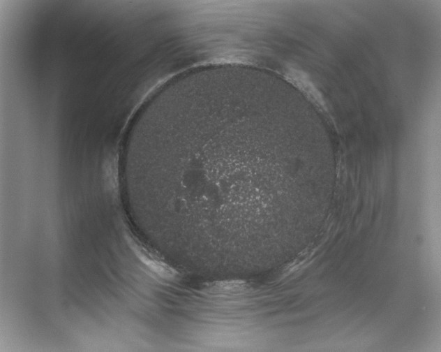 X0000071780108200607071440