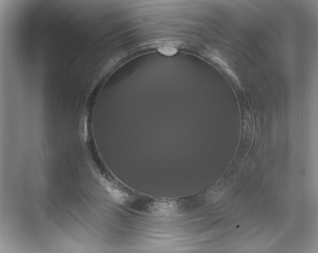 X0000071780110200607071440