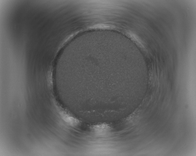 X0000071780112200607071440