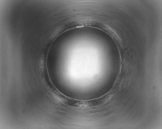 X0000071780113200607071440