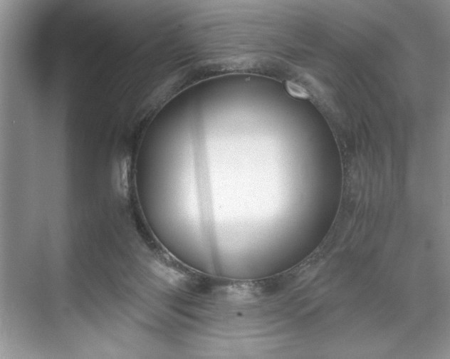 X0000071780118200607071440