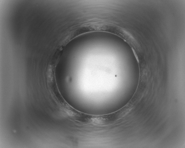 X0000071780121200607071440