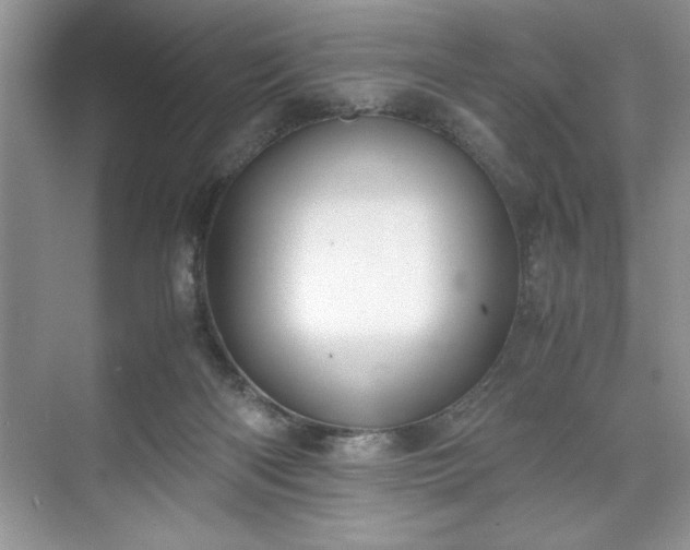 X0000071780122200607071440