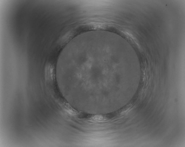 X0000071780123200607071440