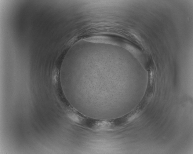 X0000071780125200607071440