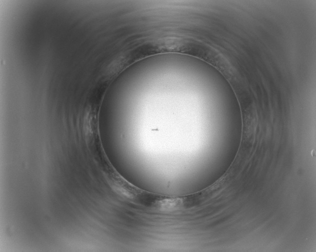 X0000071780126200607071440