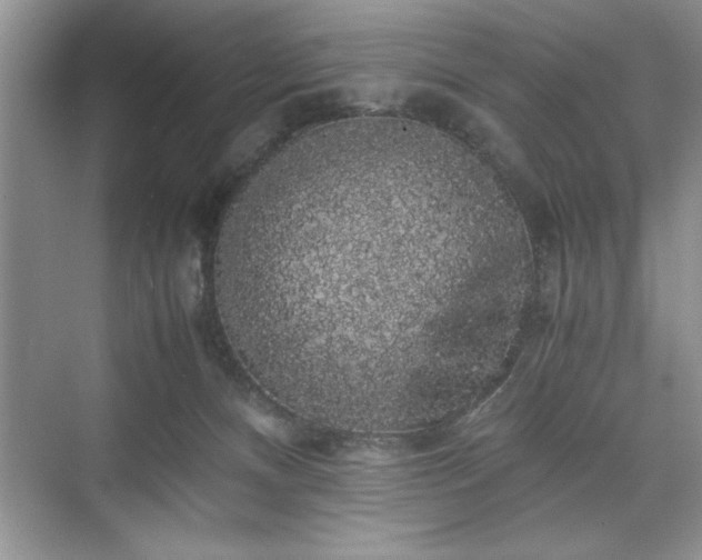 X0000071780128200607071440