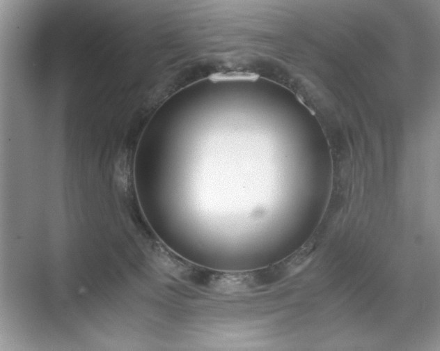 X0000071780129200607071439