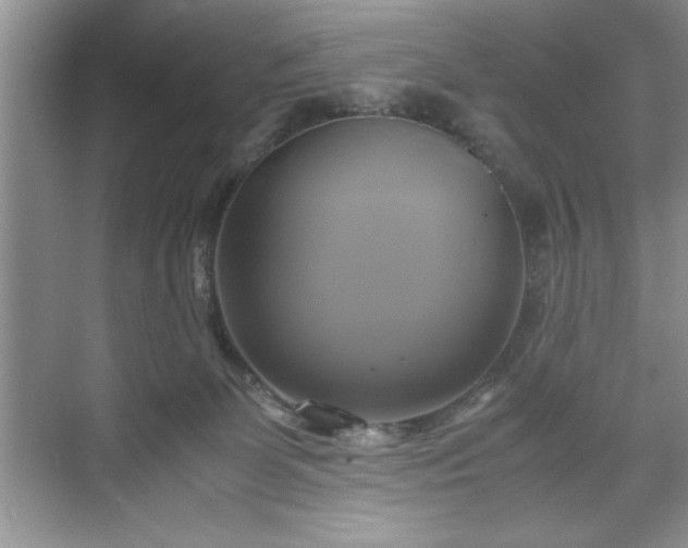 X0000071780131200607071439