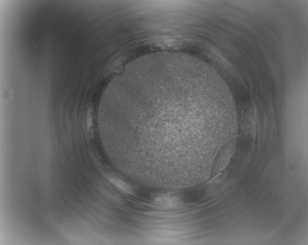 X0000071780132200607071439