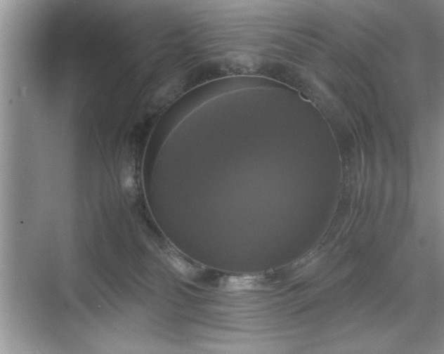 X0000071780134200607071439