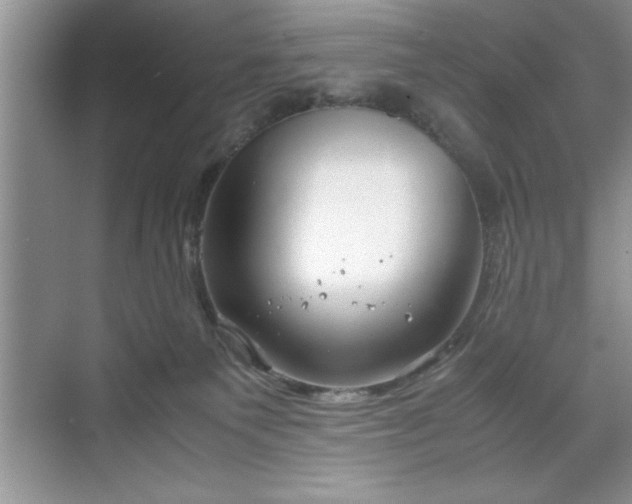 X0000071780135200607071439