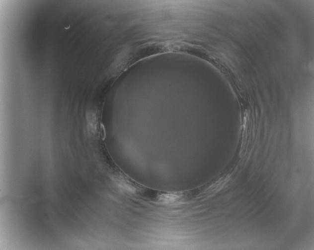 X0000071780139200607071439