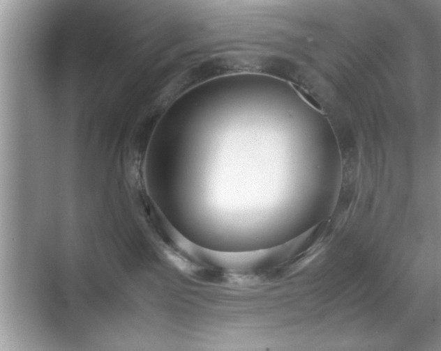 X0000071780141200607071439