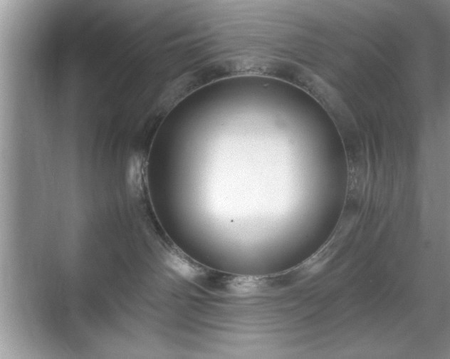 X0000071780142200607071439